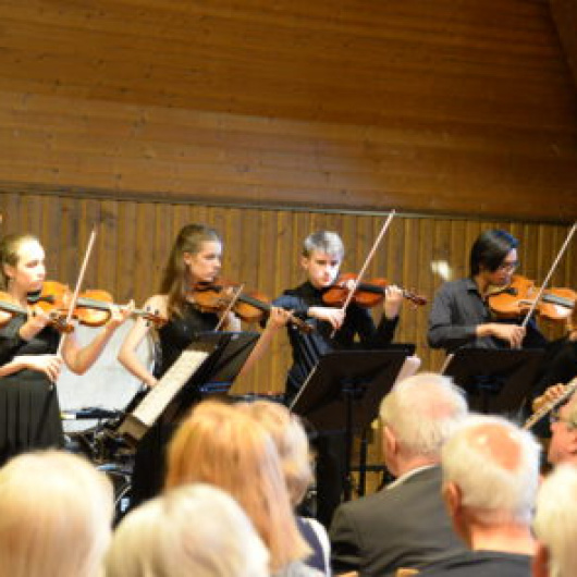 Spring Concerts - Young Masters